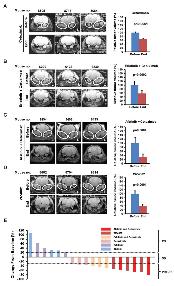 fig3
