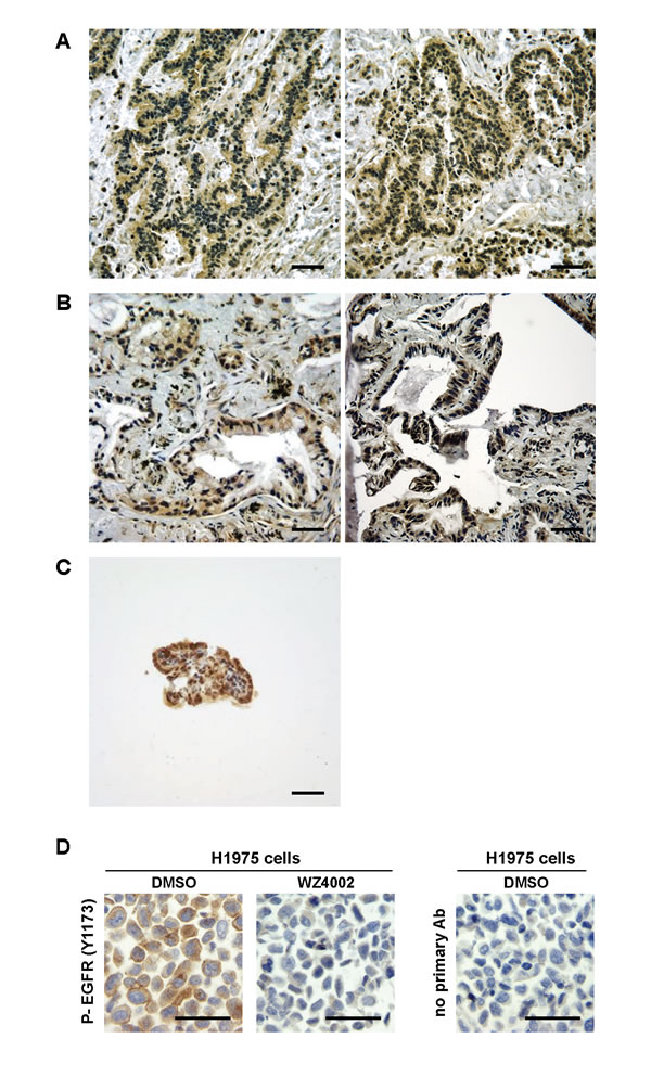 fig4