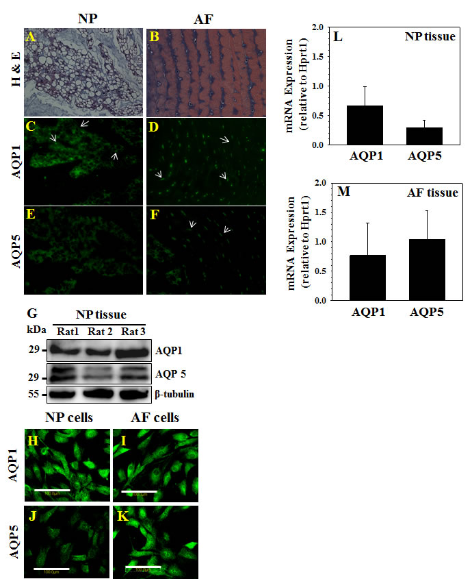 fig2