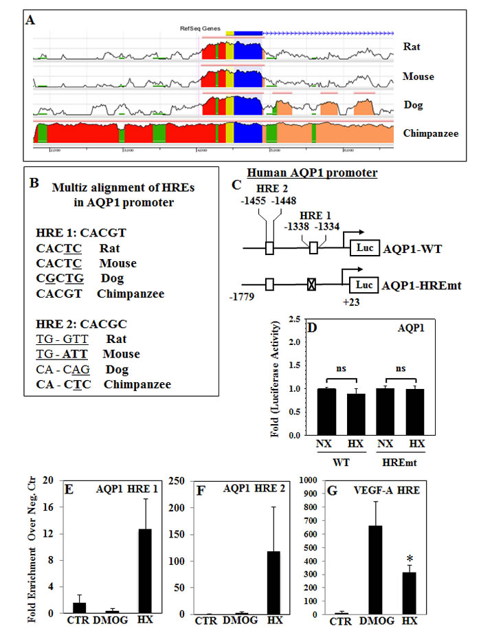 fig3