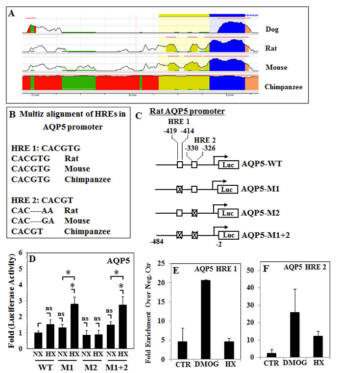 fig4