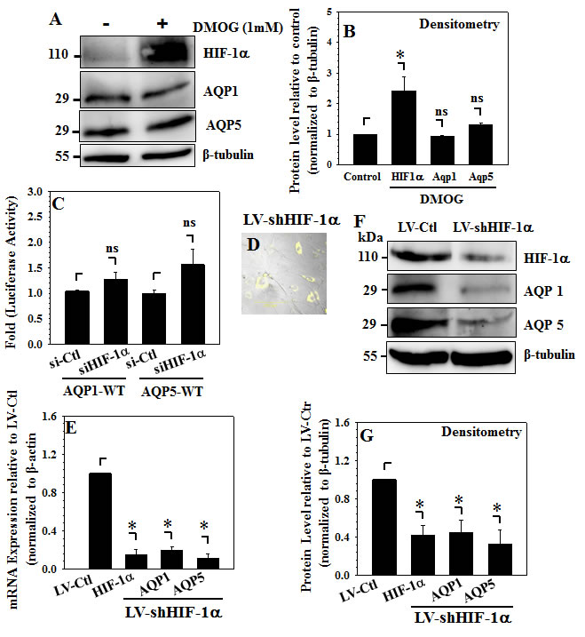 fig6