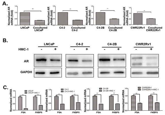 fig3