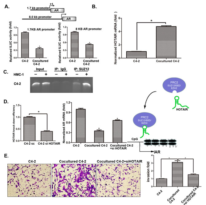 fig6