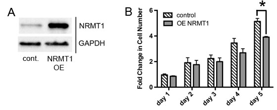fig3