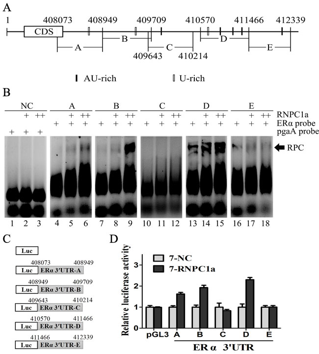 fig4