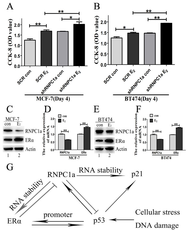 fig6
