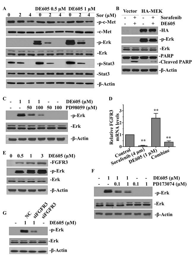 fig5