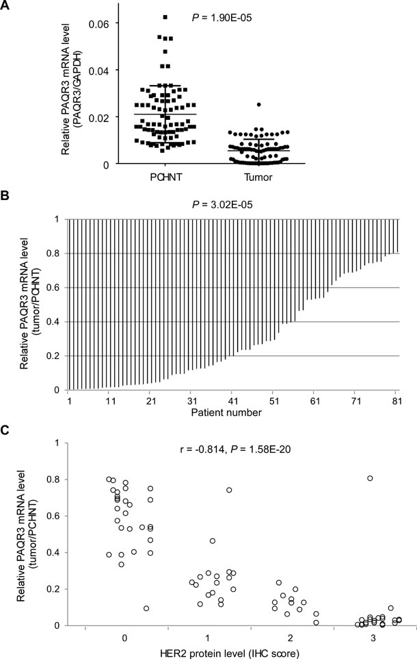 fig1
