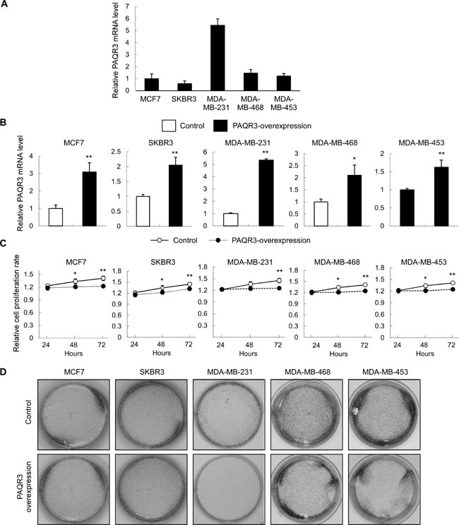 fig3
