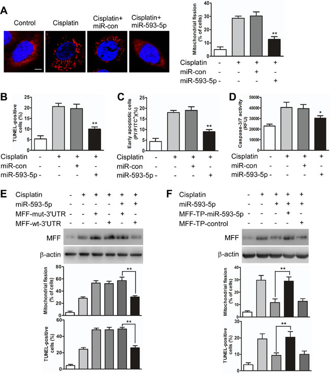 fig3