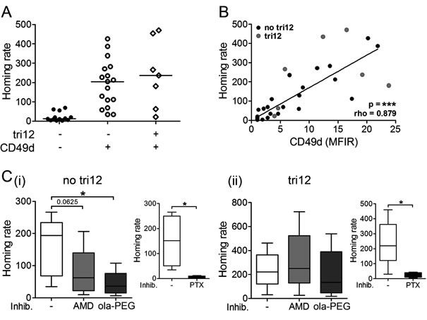 fig2