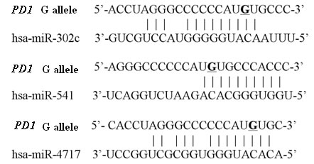fig1