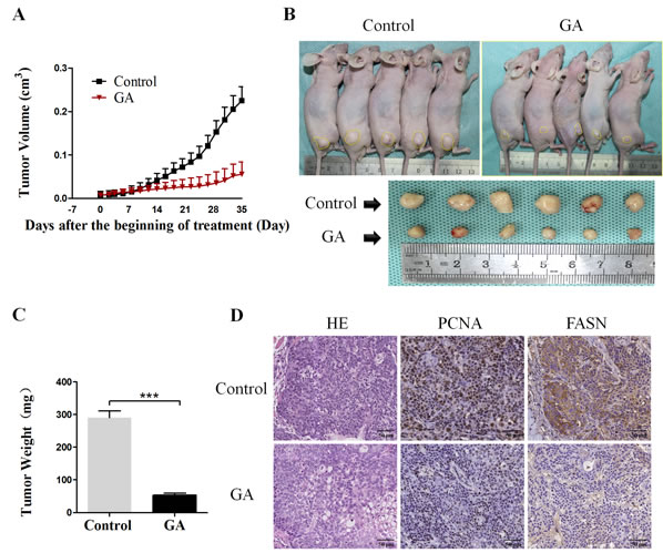 fig6