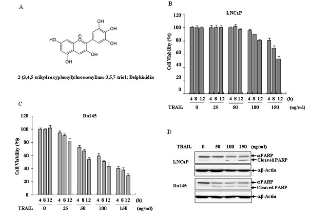 FIG1