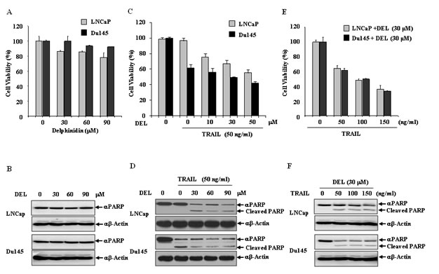 FIG2