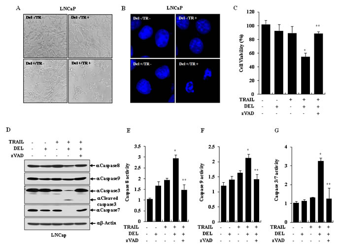 fig3