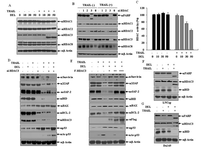 fig5