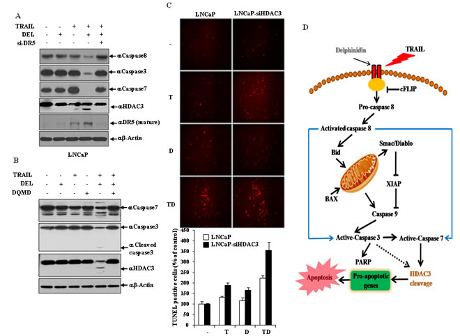 fig6