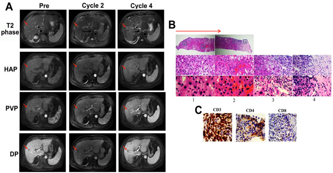 fig4