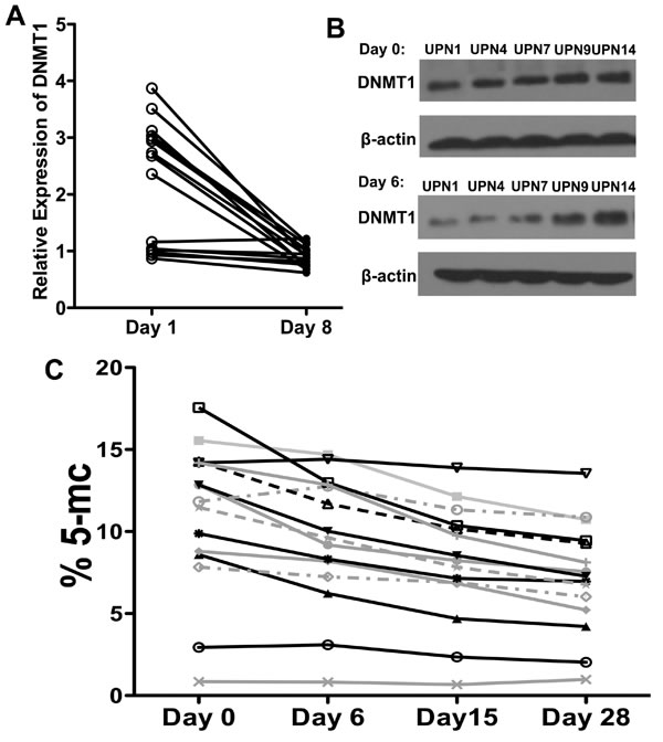 fig5