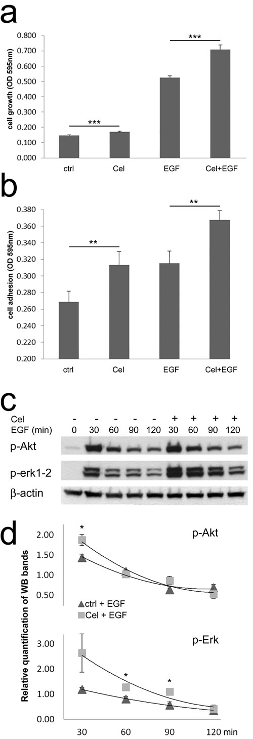 fig1