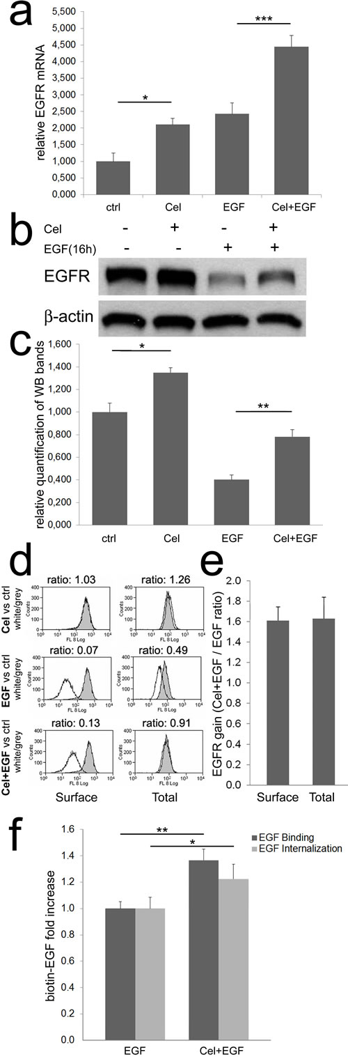 fig2