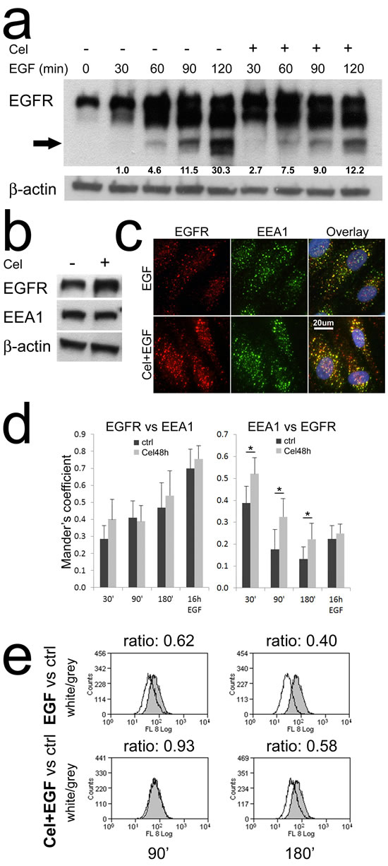 fig3
