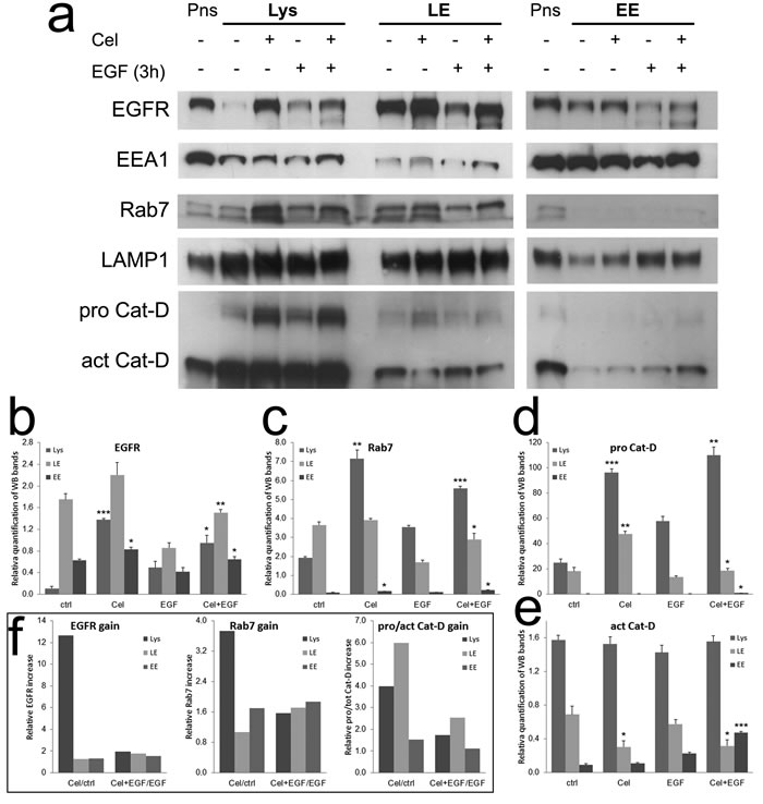 fig5