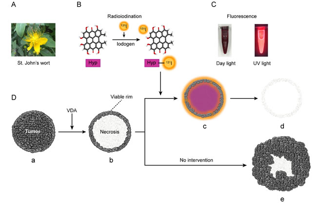 fig1