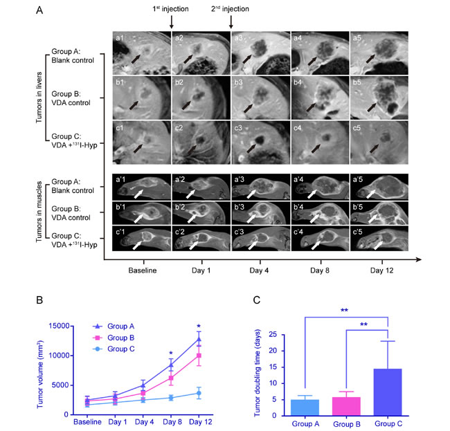 fig3