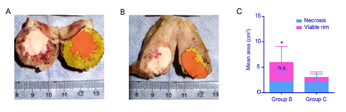 fig4