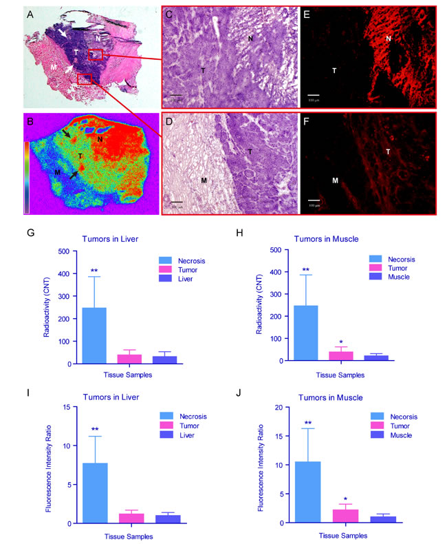 fig6