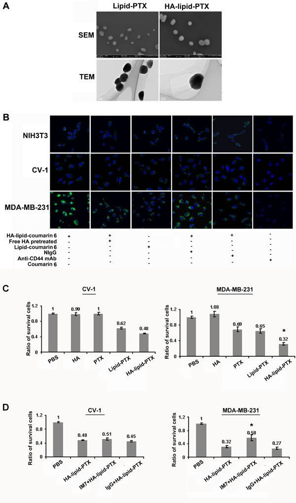 fig3