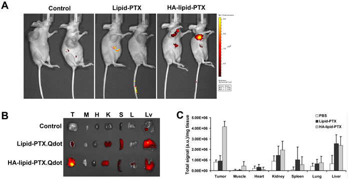 fig4a