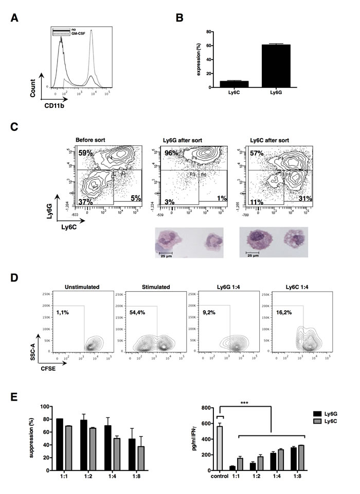 fig2