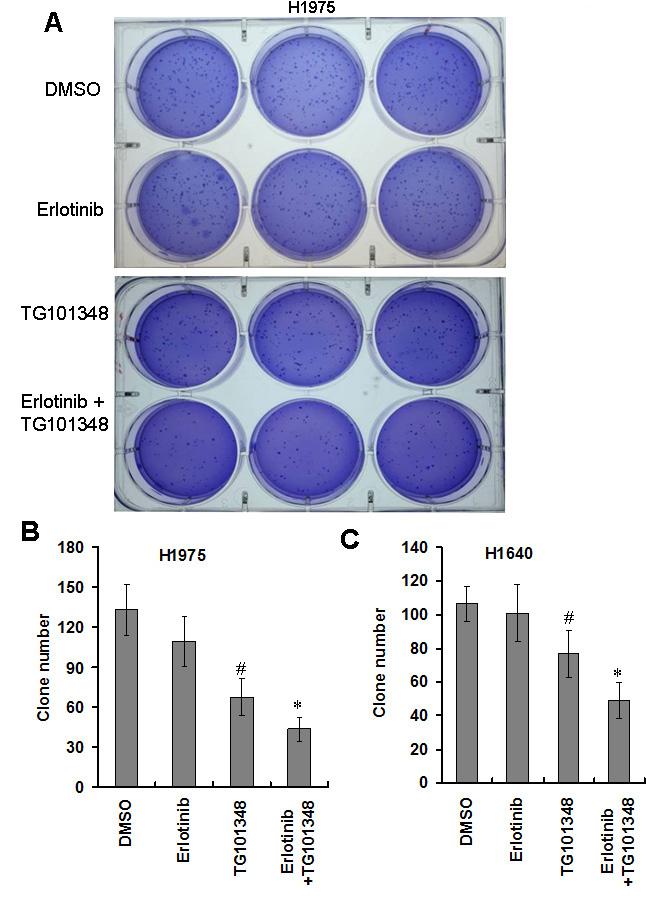 fig3