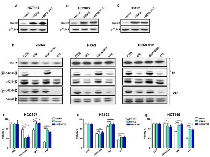 fig3