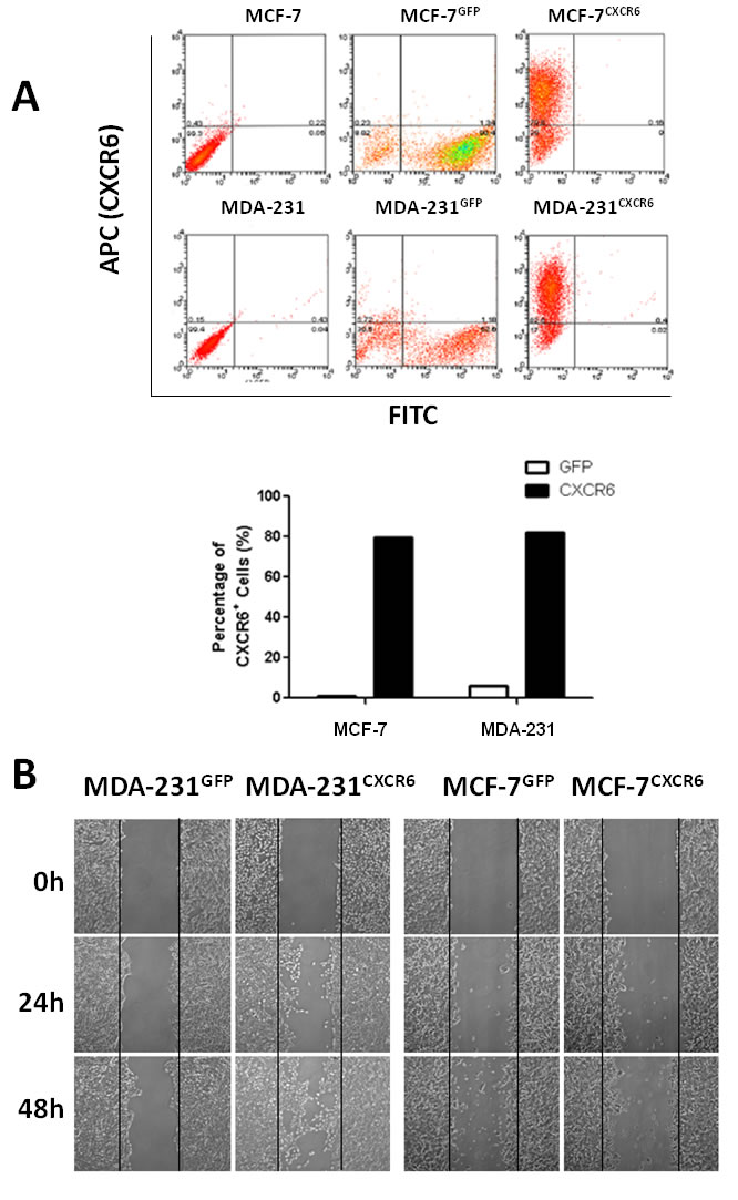 fig2a