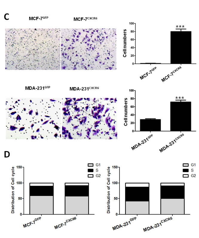 fig2b