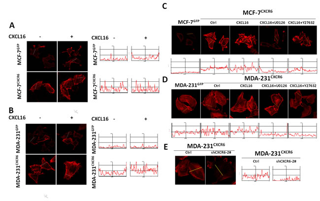 fig4