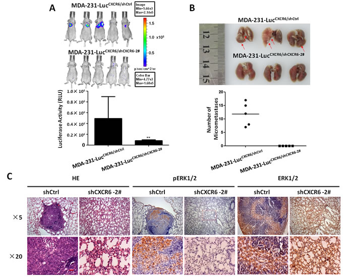 fig6