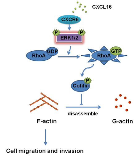 fig7