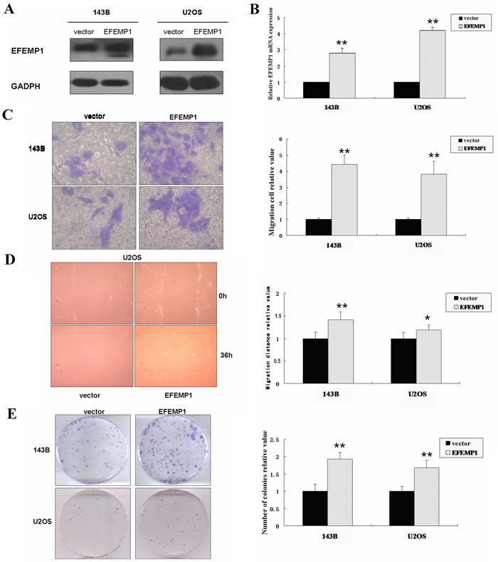 fig3