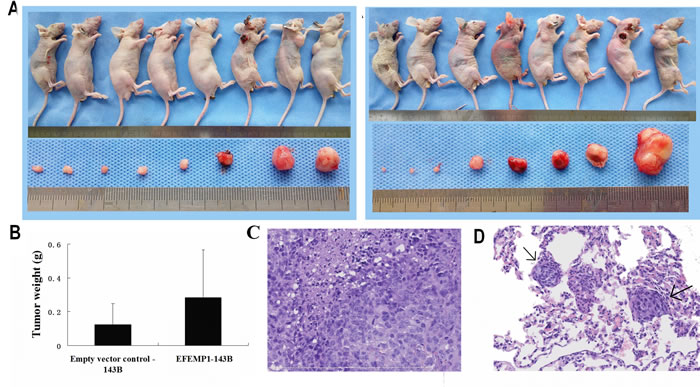 fig4
