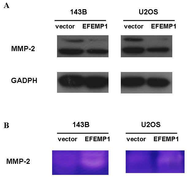 fig6