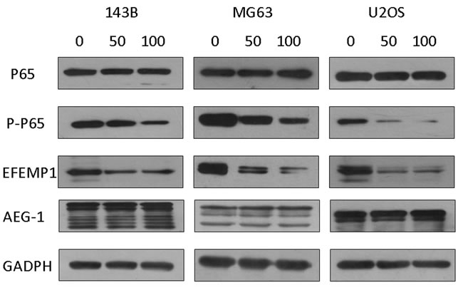 fig8