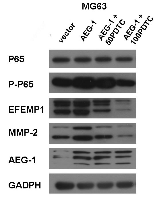 fig9