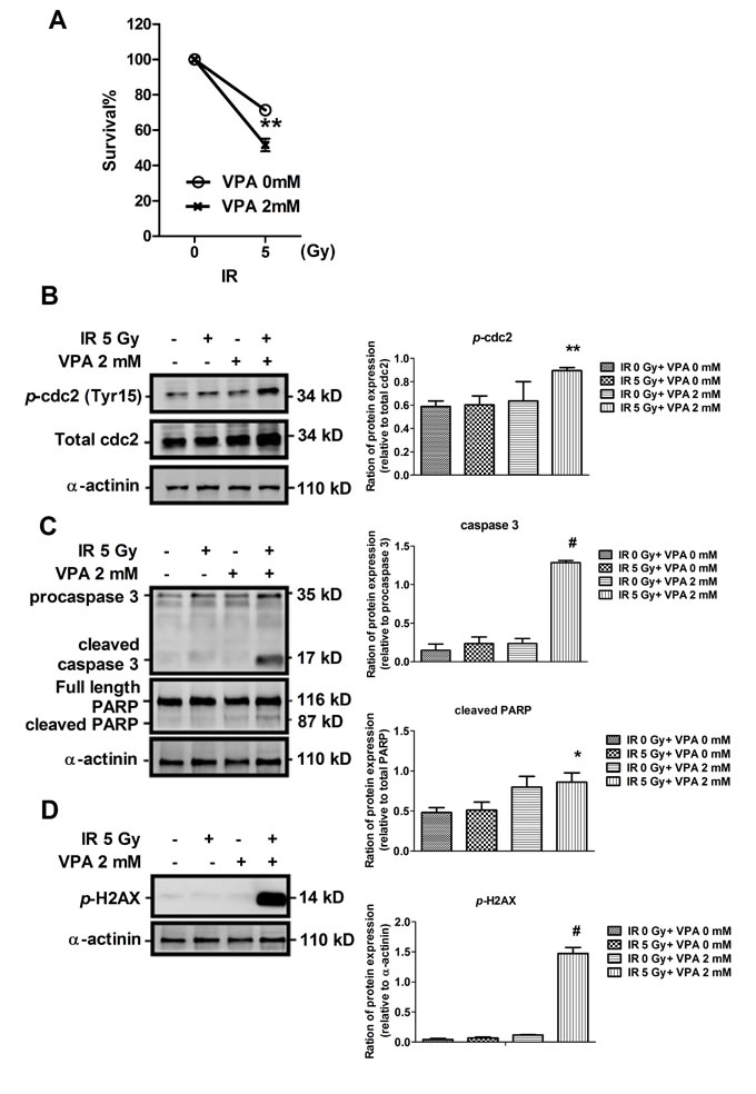 fig3