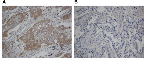 fig2